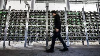 Inside a Brazilian mining farm showing extensive rows of mining machines