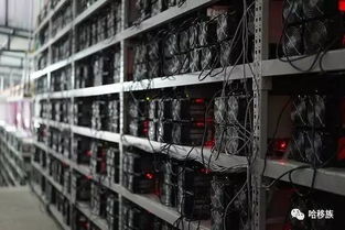 Overview of a mining farm in Australia showcasing rows of mining rigs