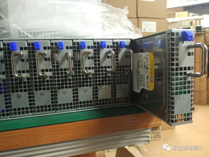 Close-up of a high-performance mining rig contributing to multi-currency blockchain networks